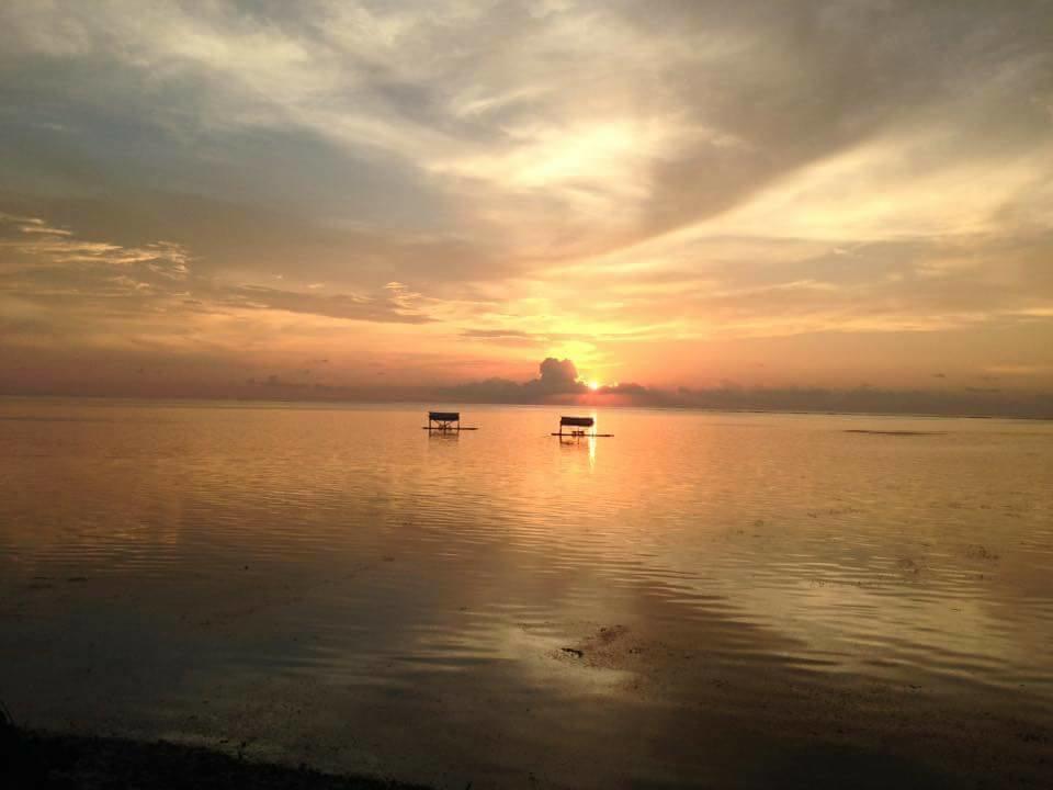 Birdland Beach Club Bolinao Bagian luar foto
