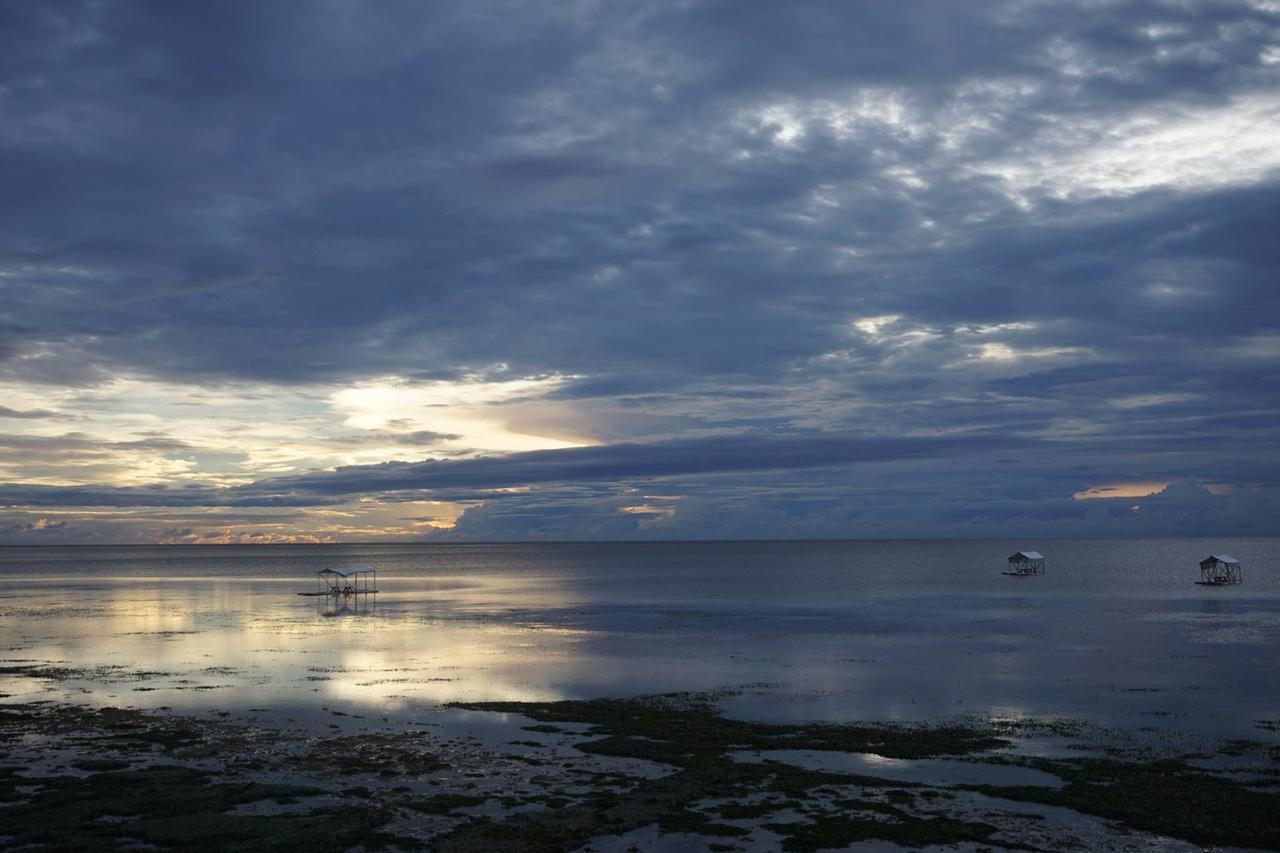 Birdland Beach Club Bolinao Bagian luar foto